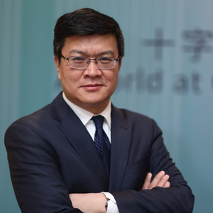 Da Wei (Director of the Center for International Security and Strategy (CISS) at Tsinghua University)