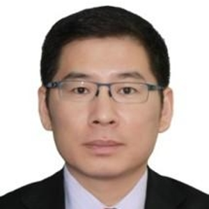 Xin Wang (Deloitte Touche Tohmatsu Certified Public Accountants LLP Beijing Branch)