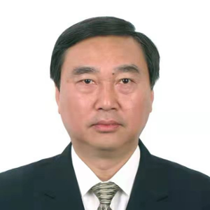 Xiaoming Wang (Deputy Director General of Airworthiness Certification Center at CAAC)