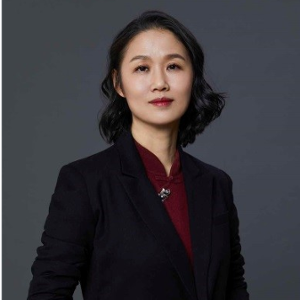 Sylvia Pan (Vice President United Family Healthcare; General Manager and CEO of Beijing United Family Hospital)