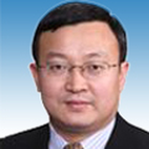 Shouwen Wang (Vice Minister, Deputy China International Trade Representative. at Ministry of Commerce of the People's Republic of China)