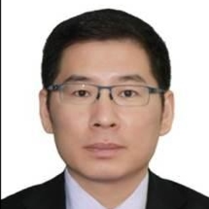Xin Wang (Director, Tax and Business Advisory Services  of Deloitte Tianjin)