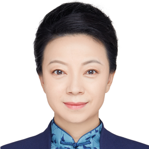 Ping Zhao (Vice President at CCPIT Research Institute)