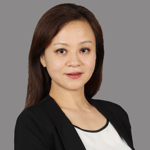 Li Wan (Vice President, Government Affairs at Audi China)