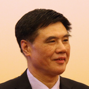Xiaoqiang Zhang (Executive Vice Chairman and Chief Executive Officer at China Center for International Economic Exchanges)