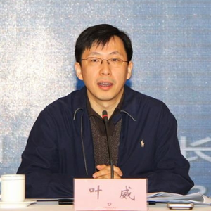 Wei Ye (Deputy Director General, Foreign Investment Administration of MOFCOM)