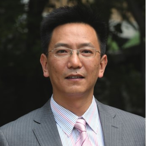 Tao Xie (Dean of the School of International Relations at Beijing Foreign Studies University)