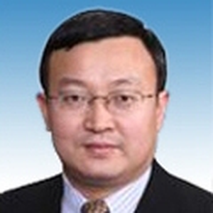 Shouwen Wang (Vice Minister at MOFCOM)