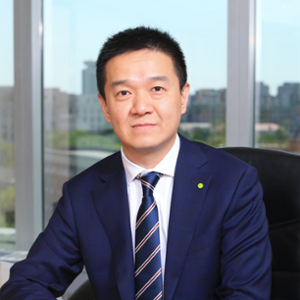 Xiaoli Huang (Partner at Deloitte)